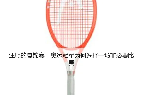 汪顺的夏锦赛：奥运冠军为何选择一场非必要比赛