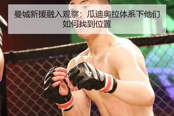 曼城新援融入观察：瓜迪奥拉体系下他们如何找到位置